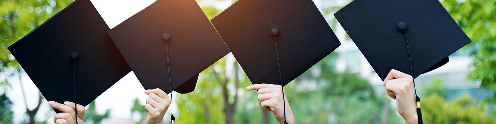 Four graduates holding up their commencement caps