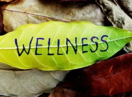 yellow leaf with wellness written on back
