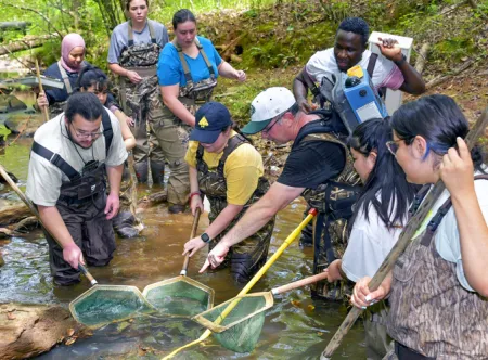 Students collecting specimens in a pond