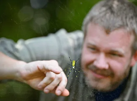 Patrick Cain and Joro spider
