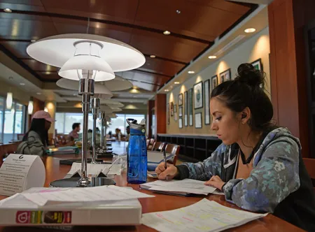 student studying in library quiet reading room