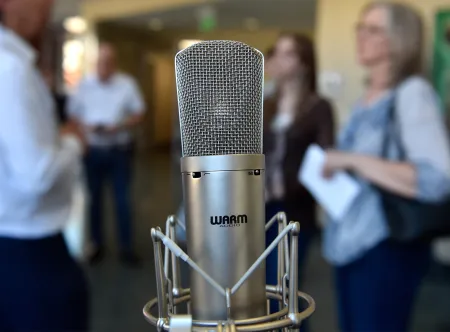 Four people, out of focus, are standing behind a microphone, in focus