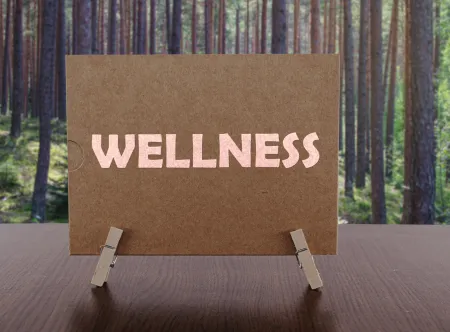 Wellness written out on a brown board with a forest in the background