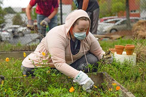 Student working in campus microfarm