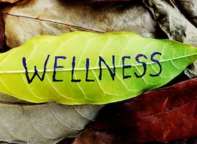 yellow leaf with wellness written  on back