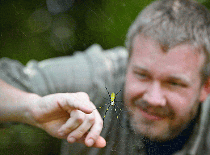 Patrick Cain and Joro spider