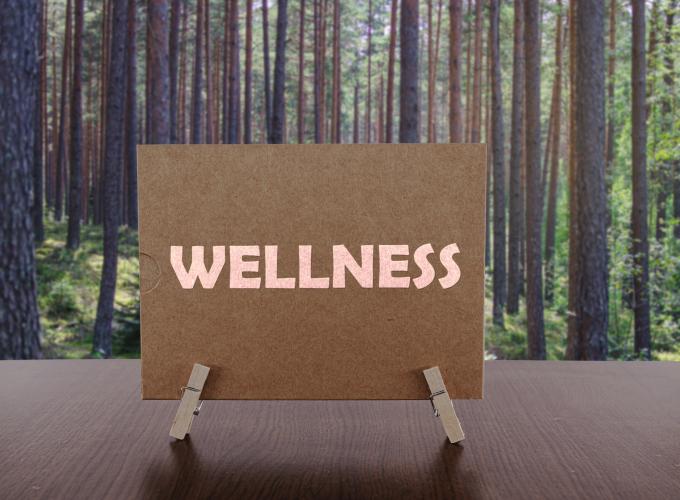 Getty Images "WELLNESS" written on a brown board held up by clothes pins; forest background