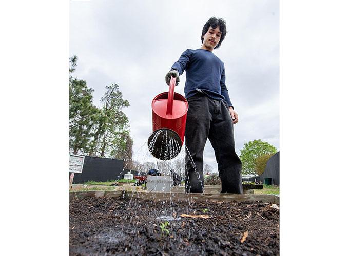 Marco Salina assists with watering plants at the Microfarm at Georgia Gwinnett College. The Microfarm is one of the sites for GGC's Earth Week activities. Photo Daniel Melograna/GGC.
