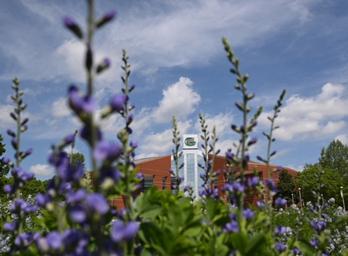 GGC's Building B in the background with purple flowers in the foreground.