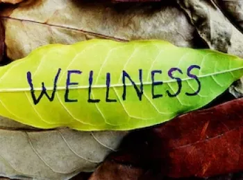 yellow leaf with wellness written  on back