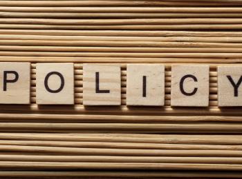 The word policy spelled out in brown blocks