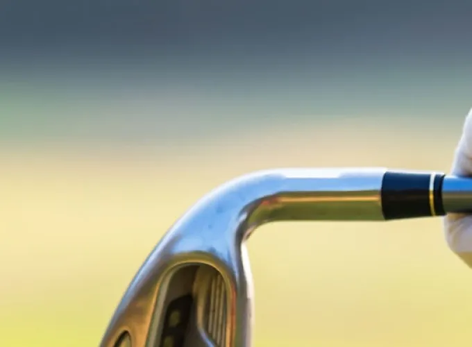 person holding a golf club, green course in background