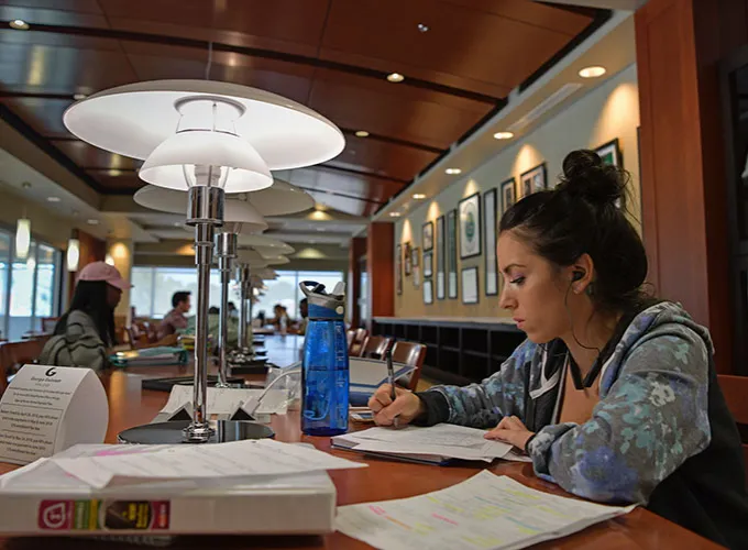 student studying in library quiet reading room