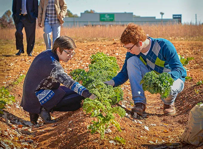 GGC students picking greens from the campus microfarm