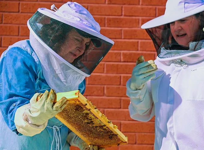 EHS personnel tending to bee hives dressed in protective gear