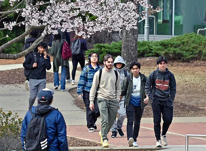 students walking outdoors in groups on a spring day