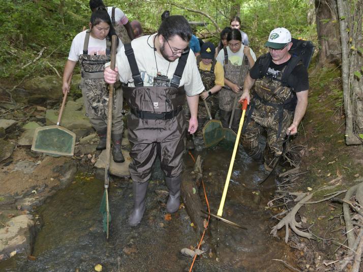 GGC students studying a campus stream during an ecology field lab