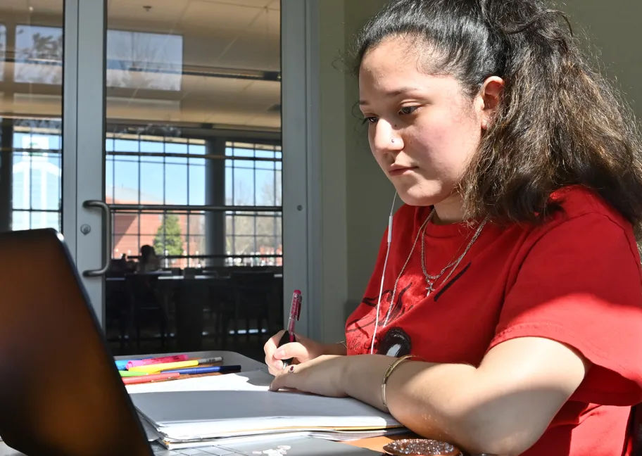 Female student studying in a private study room