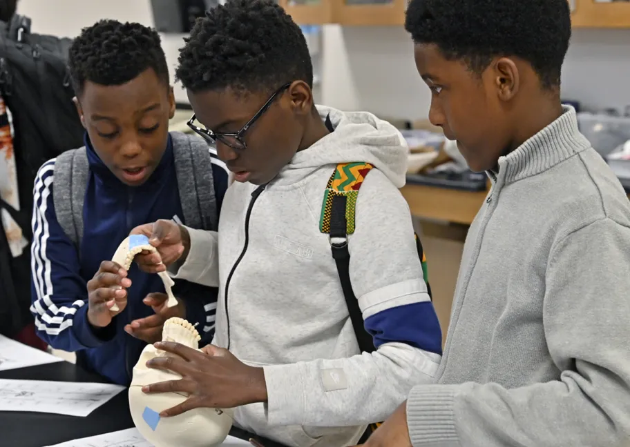 Three middle school boys admire a human skull