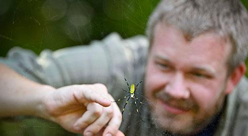 GGC's Dr. Patrick Cain examines Joro spider