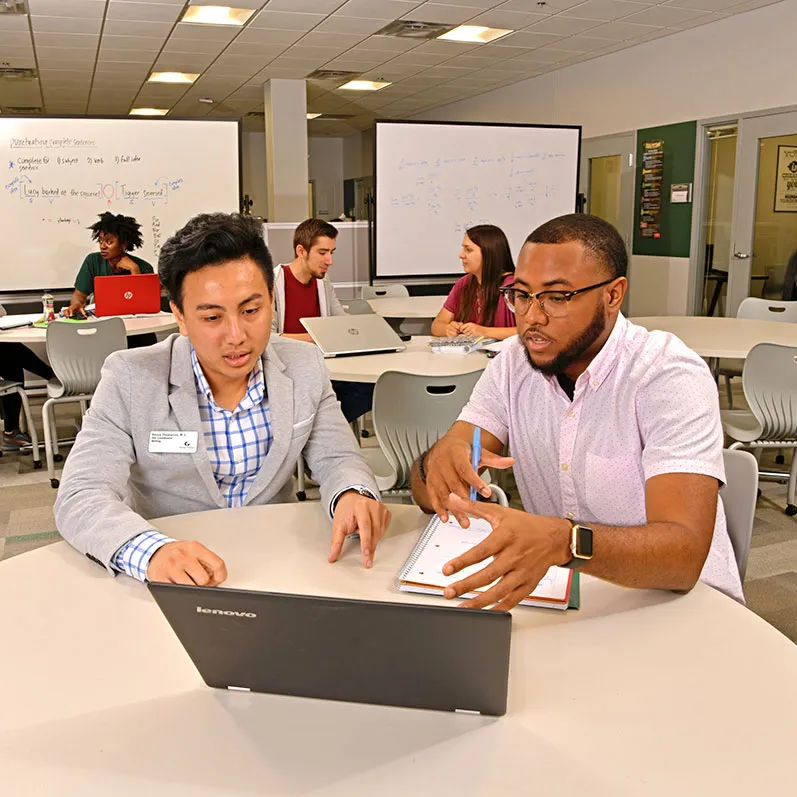 Tutor and student looking at laptop