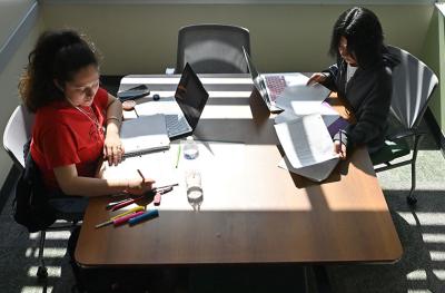 two students studying in a library study room