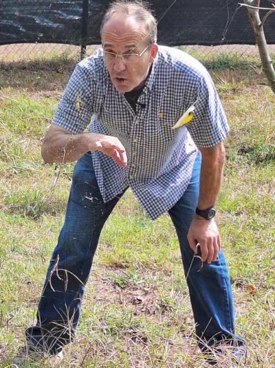 Dr. James Russell looking at a female Joro spider