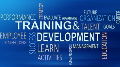 Professional development word cloud in blue