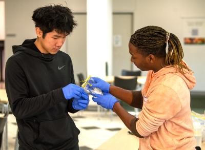 Two students work together to test a water sample for turbidity and fluorescence.
