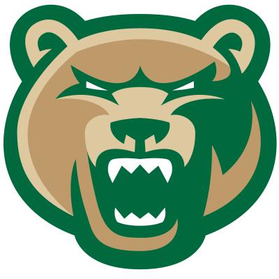 Forward facing grizzly head logo in full color