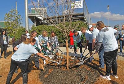 GGC students plant a tree to achieve Tree Campus USA status during Arbor Day