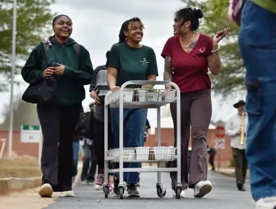 Three microfarm volunteers rolling a cart of seedling pots from the lab to the microfarm 