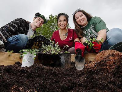 GGC students planting in the campus microfarm